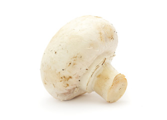 Poster - White Button Mushroom (Champignon) Isolated on White Background
