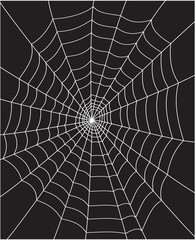 spider web