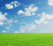 grüne Wiese mit Himmel und Wolken  im Hintergrund