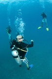 Fototapeta Do akwarium - group of divers decend on dive site