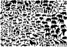 Enormous Animals Silhouettes Collection