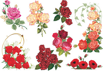 Wall Mural - isolated bunch of roses collection