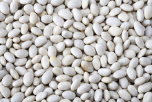 Dried White Navy Beans Close-up