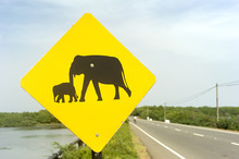 Elephant Sign
