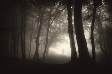 Wall Mural - strange figure of a man person walking in a dark forest with fog