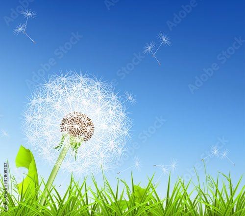Obraz na płótnie canvas dwuczęściowy "dyptyk" Biały dandelion