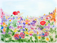 Summer Flowers In The Garden Watercolor Hand-painted