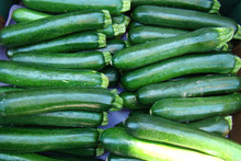 Fresh Zucchini At Farmers Market