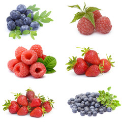 Poster - collection of fresh fruits