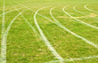 Grass running track