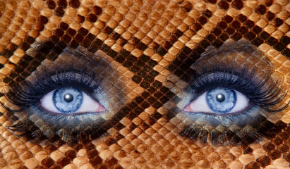 blue fashion makeup eyes leopard jaguar skin texture