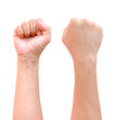 © tungphoto - fist hand isolated