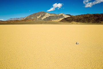 Wall Mural - Racetrack Playa, Death Valley National Park, California.