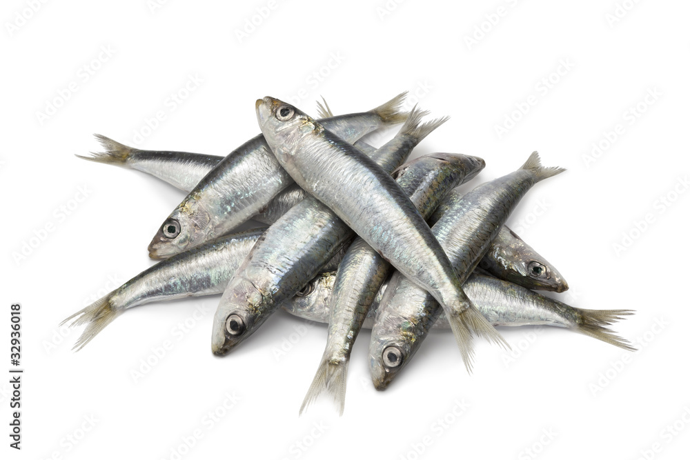 Fresh raw sardines - obrazy, fototapety, plakaty 