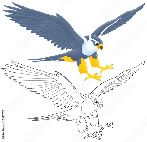 Flying Falcon Buy This Stock Illustration And Explore