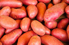 Pile Of Fresh Red Potatoes In A Market