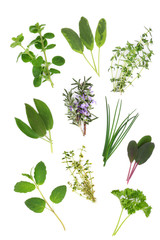 Sticker - Herb Leaf Variety