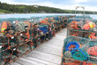 Lobster traps and buoys