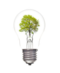 Wall Mural - Light bulb with tree inside