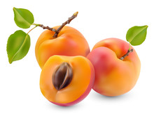 Apricot With Leaves