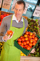 Grocery Store Clerk with Tomatoes