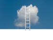 © lpstudio - Conceptual image - ladder in the sky