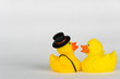 duck married couple