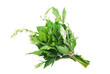 twig aromatic herbs