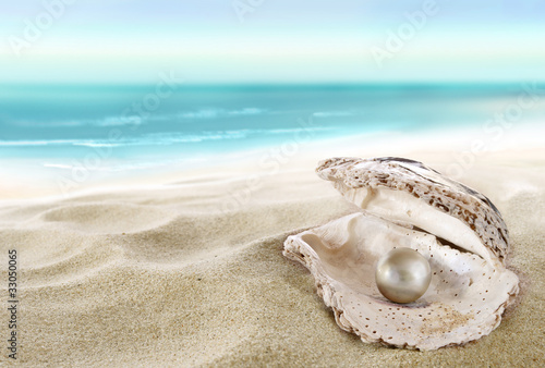 Foto-Flächenvorhang ohne Schienensystem - Shell with a pearl (von silvae)