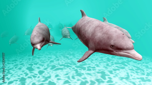 Board z aluminiowym obramowaniem Dolphin