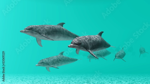Board z aluminiowym obramowaniem Dolphin