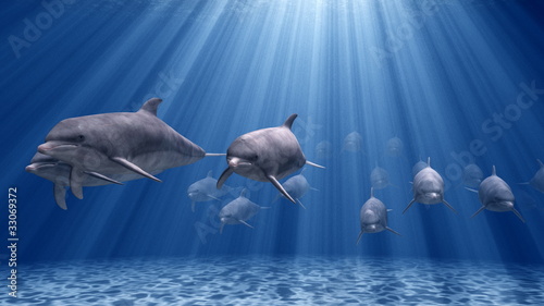 Board z aluminiowym obramowaniem Dolphin