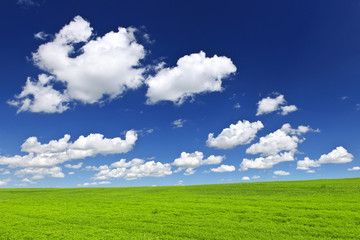 Wall Mural - Green rolling hills under blue sky