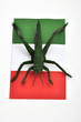 italienische Fahne mit Heuschrecke
