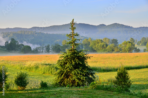 Board z aluminiowym obramowaniem Mglisty poranek w górach (bieszczady, polska)