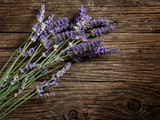 Fototapeta Lawenda - lavender flower
