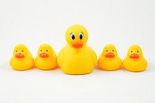 Rubber Duckie And Ducklings