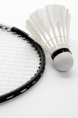 Wall Mural - Badminton