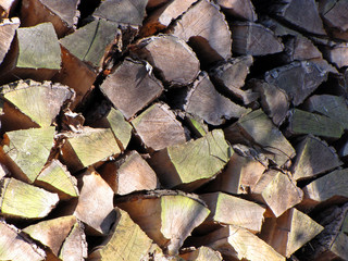 Wall Mural - firewood