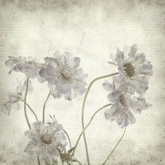 Obraz na płótnie stylowy stary retro kwiat vintage