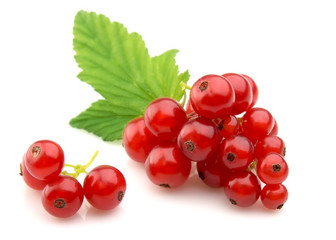 Sticker - Red Currant