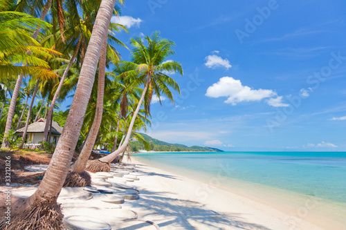 Obraz na płótnie canvas Koh samui tropikalna plaża i palmy kokosowe