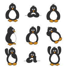 Cute Penguin Set
