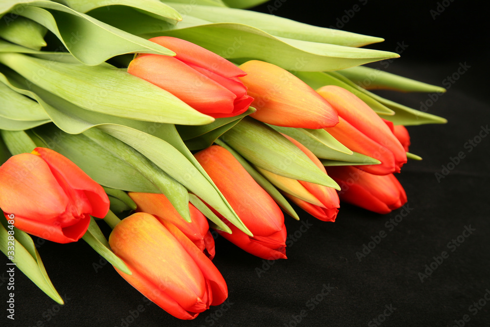 Orange Tulips - obrazy, fototapety, plakaty 