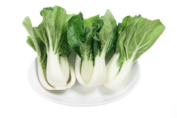 Poster - Baby Bok Choy