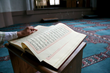 Wall Mural - young girl reading the Koran