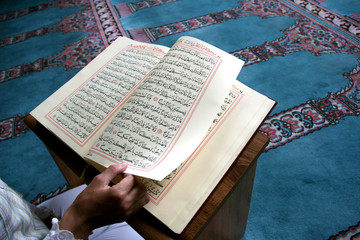 Wall Mural - young woman reading the Koran