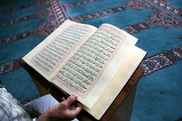 Wall Mural - young girl reading the Koran