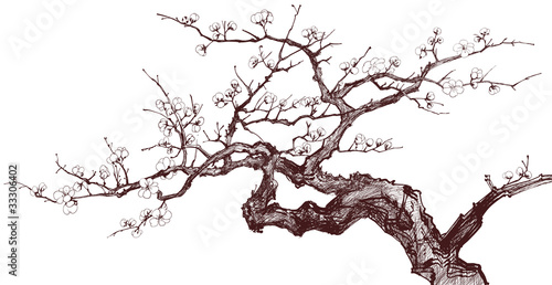 Nowoczesny obraz na płótnie Cherry Tree