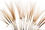 160_f_33316891_olh2llxgxnabayuunnstimefuhr5wk6b